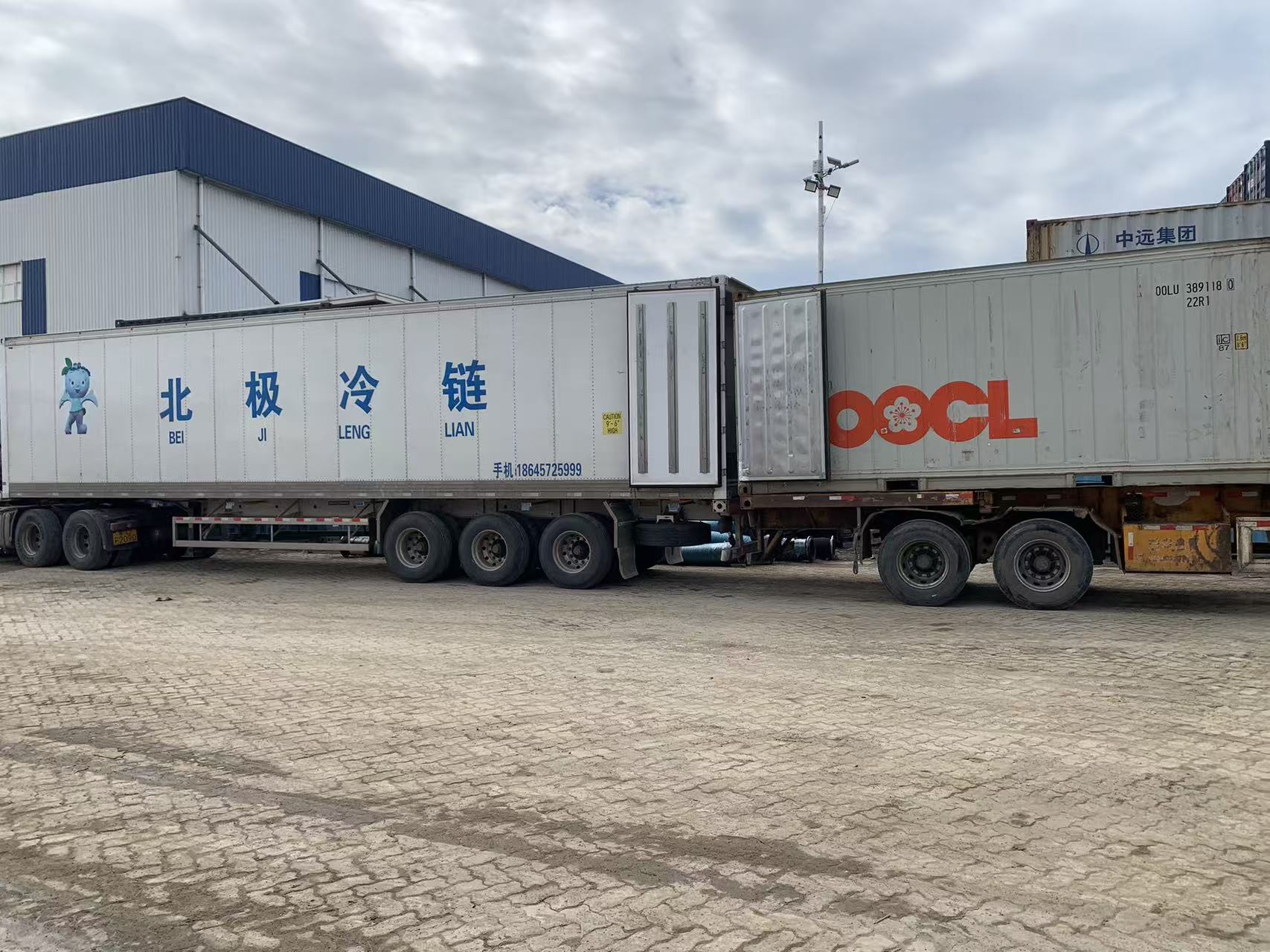 Reefer Container suppiler9
