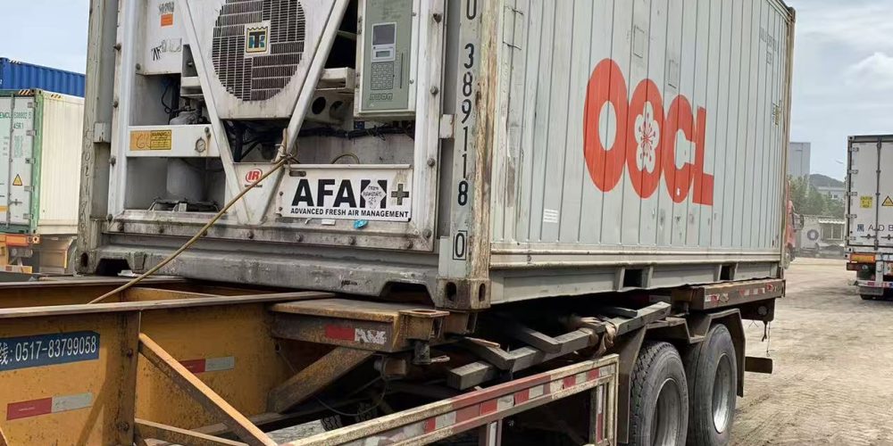 Reefer Container suppiler14