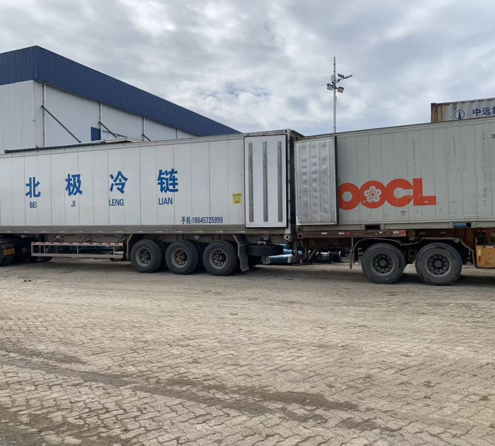 Reefer Container suppiler9